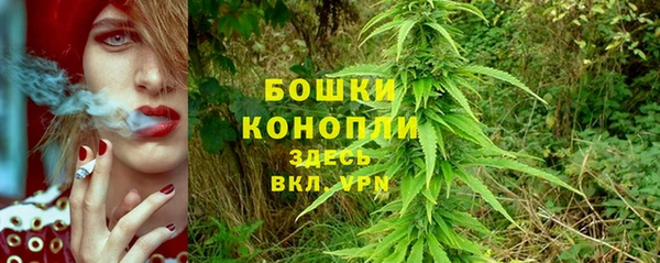 эйфоретик Краснослободск