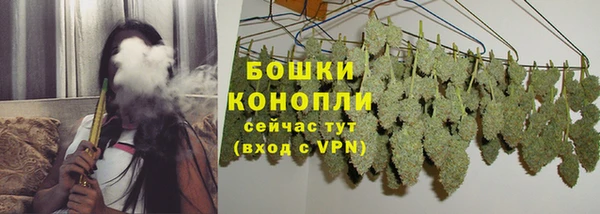 эйфоретик Краснослободск