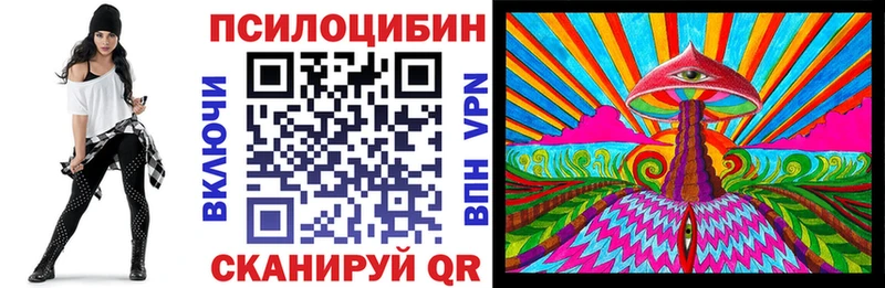 kraken ТОР  Козловка  Псилоцибиновые грибы Psilocybe 