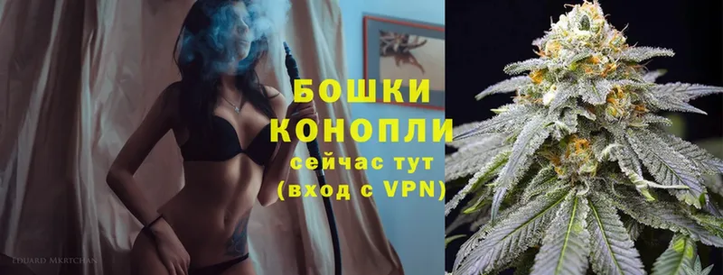 сколько стоит  Козловка  ОМГ ОМГ онион  Бошки Шишки SATIVA & INDICA 